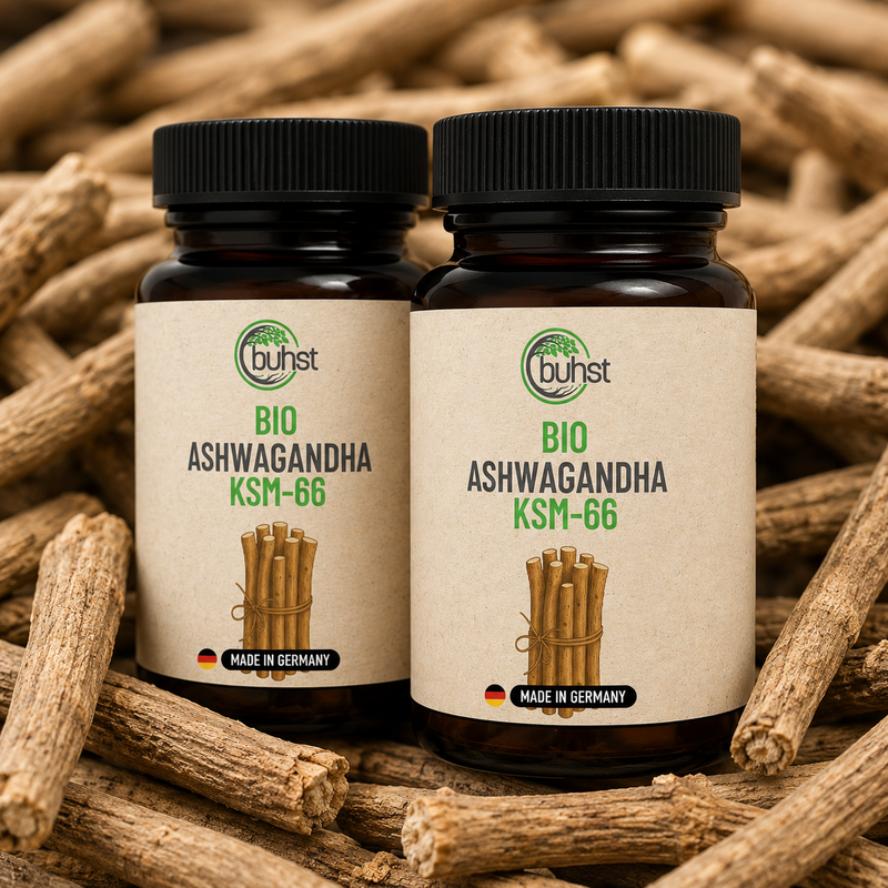 Ashwagandha KSM-66® BIO (120 capsule)