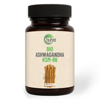 Ashwagandha KSM-66 BIO 120 capsule BUHST