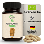 Ashwagandha KSM-66 BIO 120 capsule BUHST