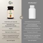 Ashwagandha KSM-66 BIO 120 capsule BUHST