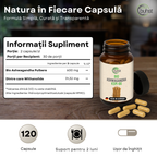 Ashwagandha KSM-66 BIO 120 capsule BUHST