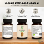 Ashwagandha KSM-66 BIO 120 capsule BUHST