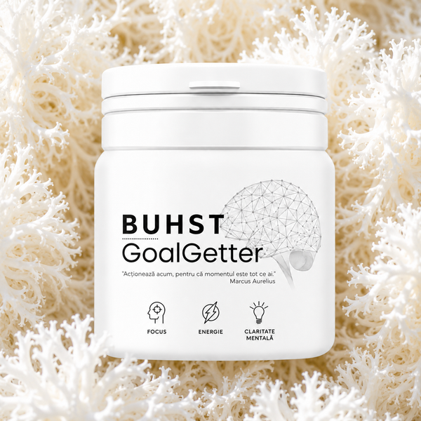 GoalGetter Nootropic | coama leului, creatina & cofeina (slow release) pentru memorie & concentrare | 60 de capsule dozaj inalt  | Made in Germany